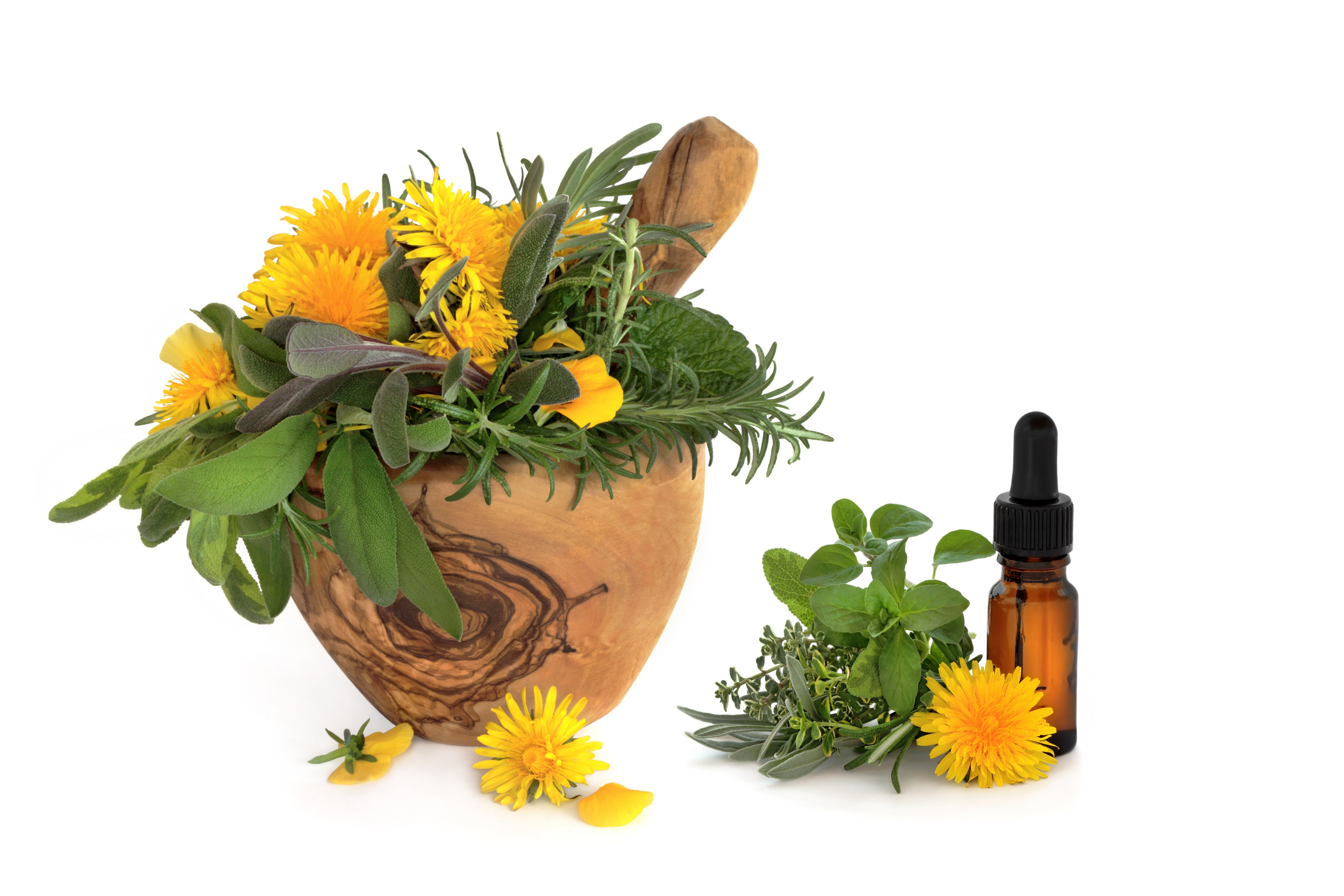  Wild dandelion and gorse flowers with sage, rosemary and lemon balm herbs, in an olive wood mortar with pestle and aromatherapy essential oil glass bottle, over white background.