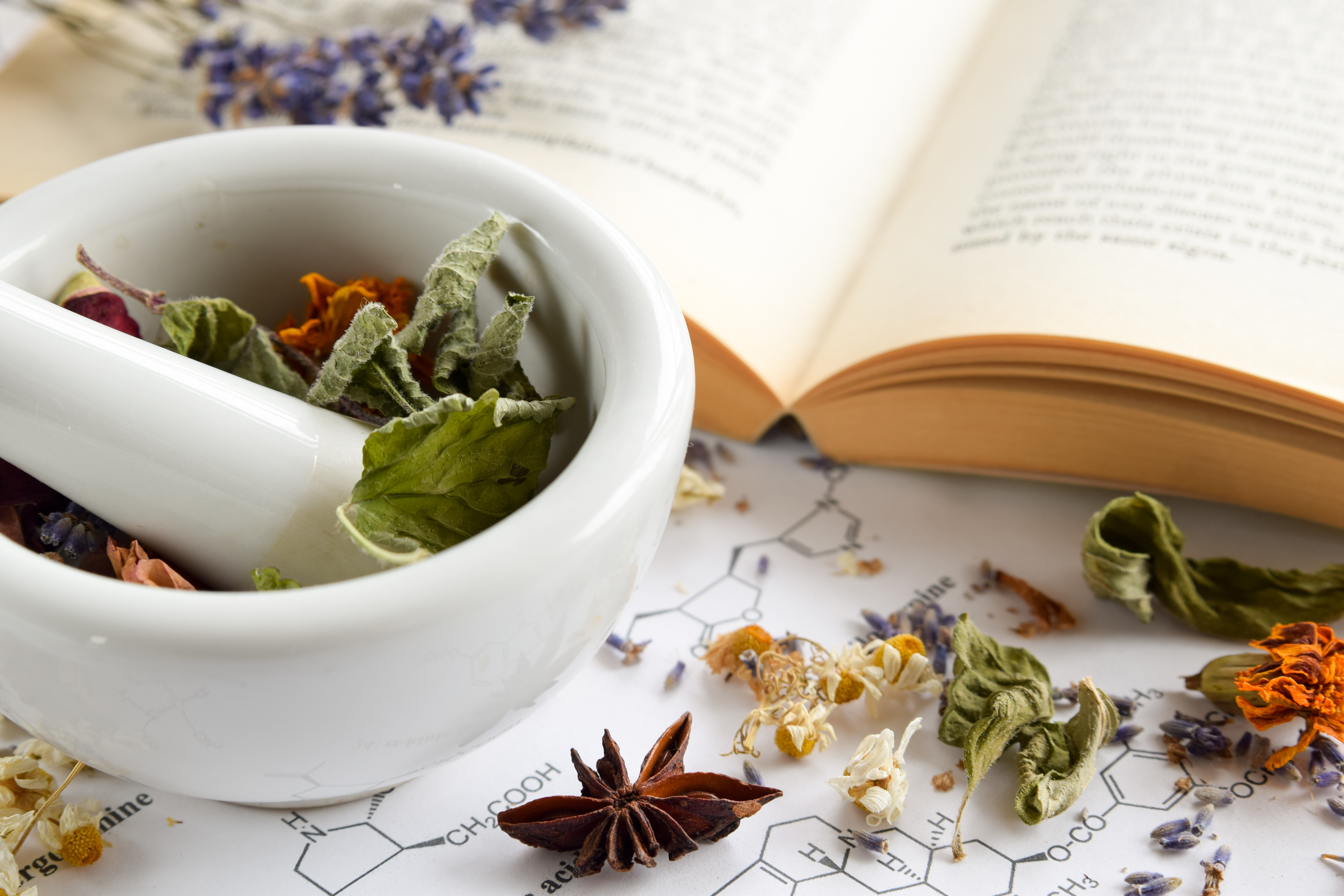 alternative medicine with dried herbs using motar and peste, and book on science sheet